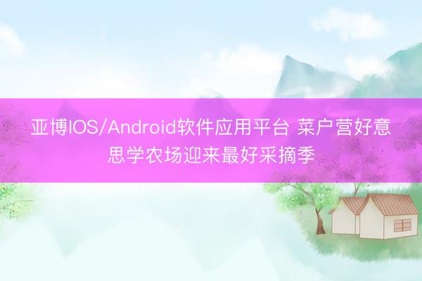 亚博IOS/Android软件应用平台 菜户营好意思学农场迎来最好采摘季