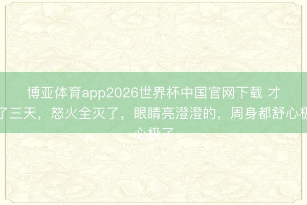 博亚体育app2026世界杯中国官网下载 才泡了三天，怒火全灭了，眼睛亮澄澄的，周身都舒心极了